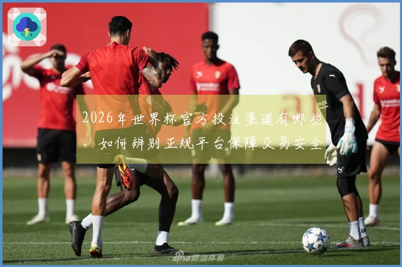 2026年世界杯官方投注渠道有哪些，如何辨别正规平台保障交易安全