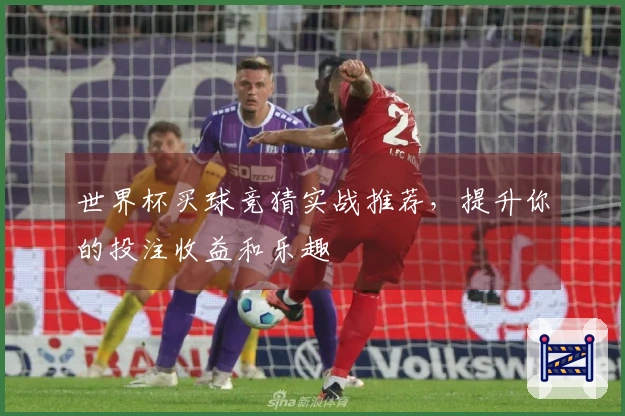 世界杯买球竞猜实战推荐，提升你的投注收益和乐趣