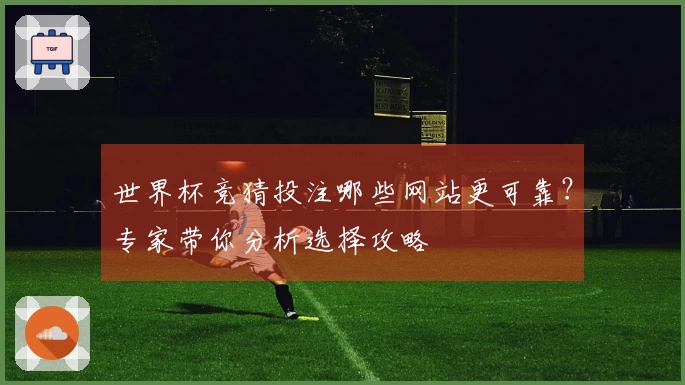 世界杯竞猜投注哪些网站更可靠？专家带你分析选择攻略