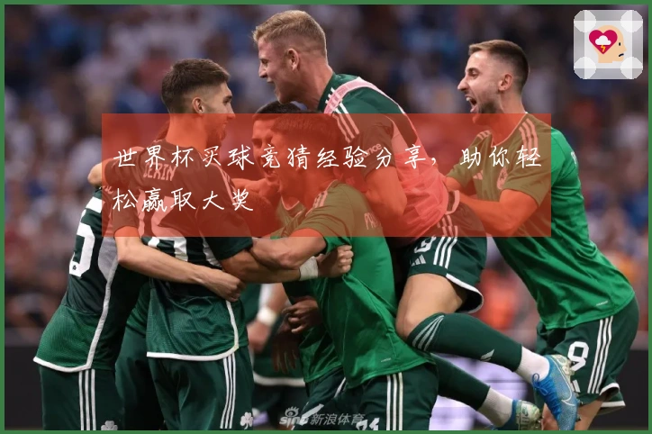 世界杯买球竞猜经验分享，助你轻松赢取大奖
