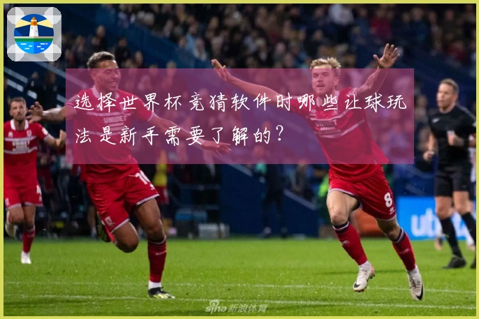 选择世界杯竞猜软件时哪些让球玩法是新手需要了解的？