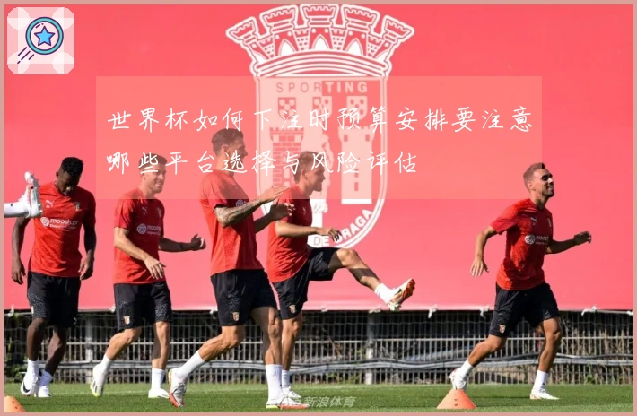 世界杯如何下注时预算安排要注意哪些平台选择与风险评估