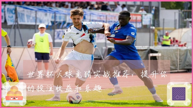 世界杯买球竞猜实战推荐，提升你的投注收益和乐趣