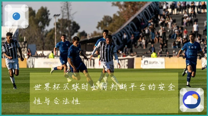 世界杯买球时如何判断平台的安全性与合法性