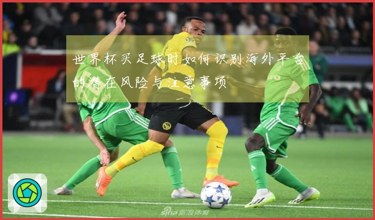 世界杯买足球时如何识别海外平台的潜在风险与注意事项