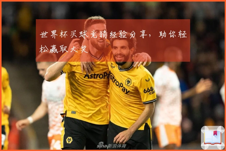世界杯买球竞猜经验分享，助你轻松赢取大奖