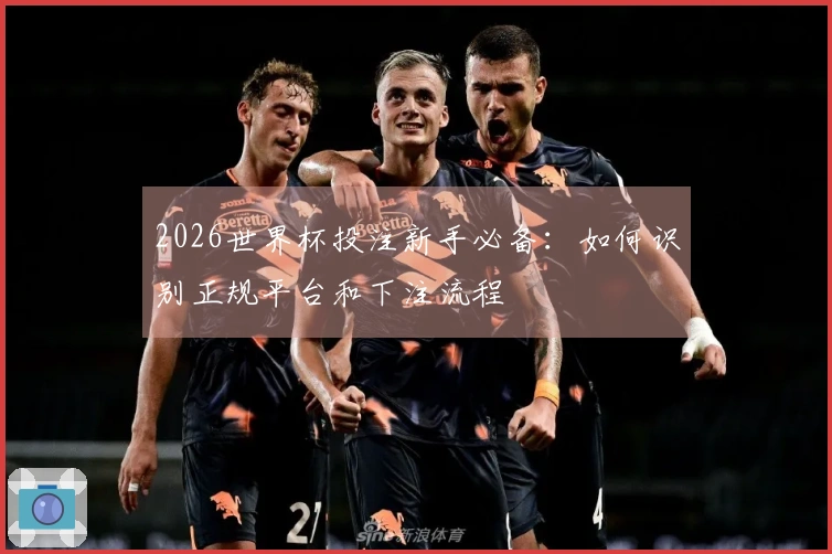 2026世界杯投注新手必备：如何识别正规平台和下注流程