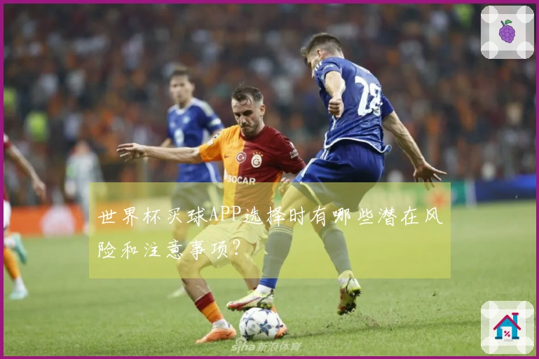 世界杯买球APP选择时有哪些潜在风险和注意事项？