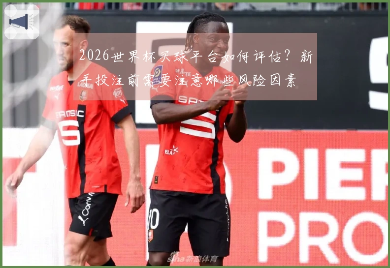 2026世界杯买球平台如何评估？新手投注前需要注意哪些风险因素