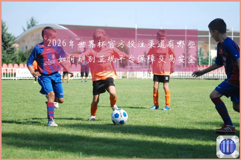 2026年世界杯官方投注渠道有哪些，如何辨别正规平台保障交易安全