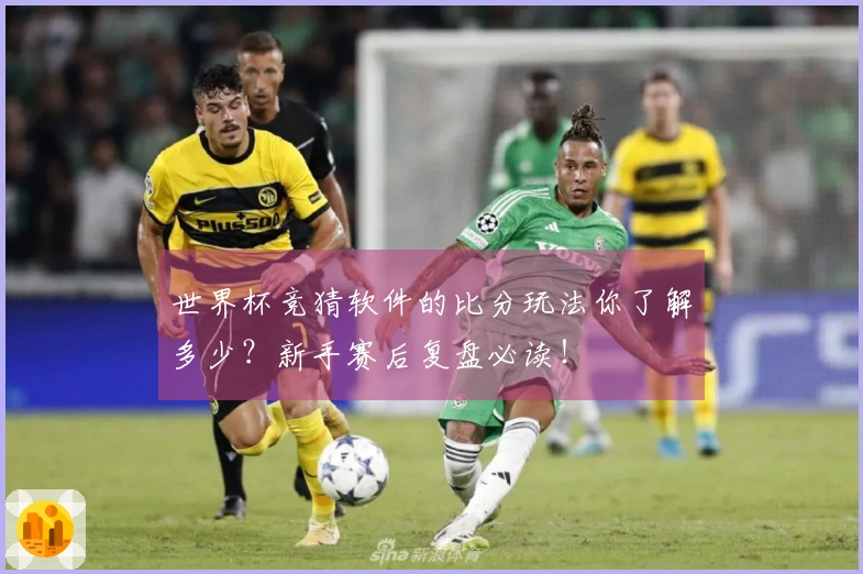 世界杯竞猜软件的比分玩法你了解多少？新手赛后复盘必读！
