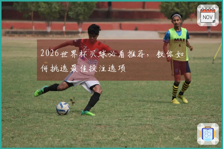 2026世界杯买球必看推荐,教你如何挑选最佳投注选项