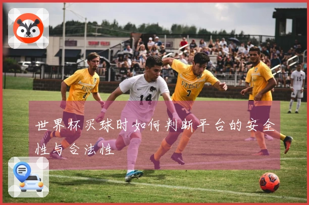 世界杯买球时如何判断平台的安全性与合法性