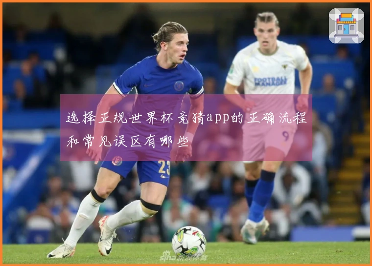 选择正规世界杯竞猜app的正确流程和常见误区有哪些