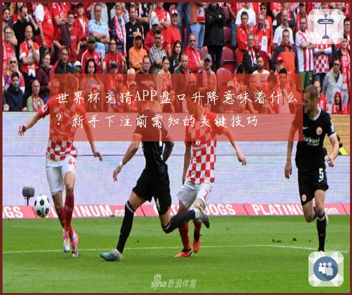 世界杯竞猜APP盘口升降意味着什么？新手下注前需知的关键技巧
