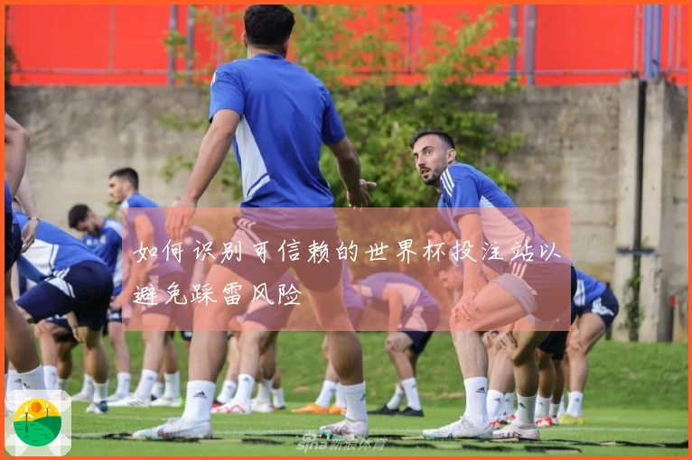 如何识别可信赖的世界杯投注站以避免踩雷风险
