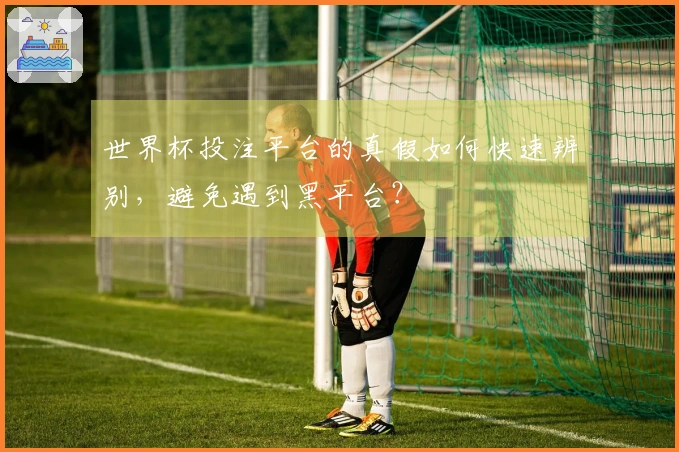 世界杯投注平台的真假如何快速辨别，避免遇到黑平台？