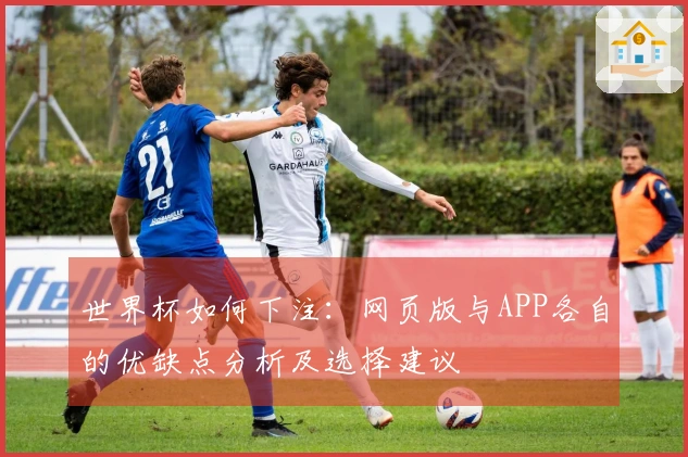 世界杯如何下注：网页版与APP各自的优缺点分析及选择建议