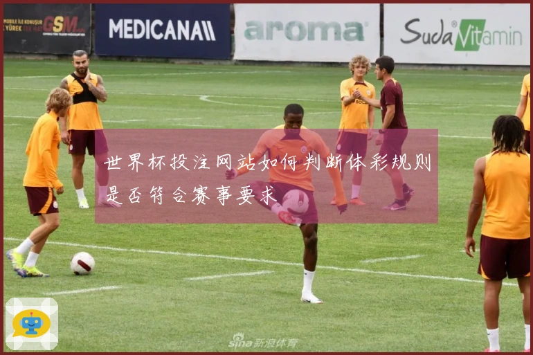 世界杯投注网站如何判断体彩规则是否符合赛事要求