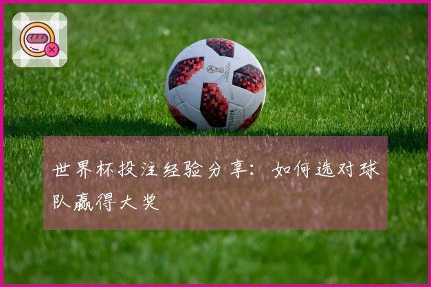世界杯投注经验分享：如何选对球队赢得大奖