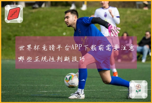 世界杯竞猜平台APP下载前需要注意哪些正规性判断技巧