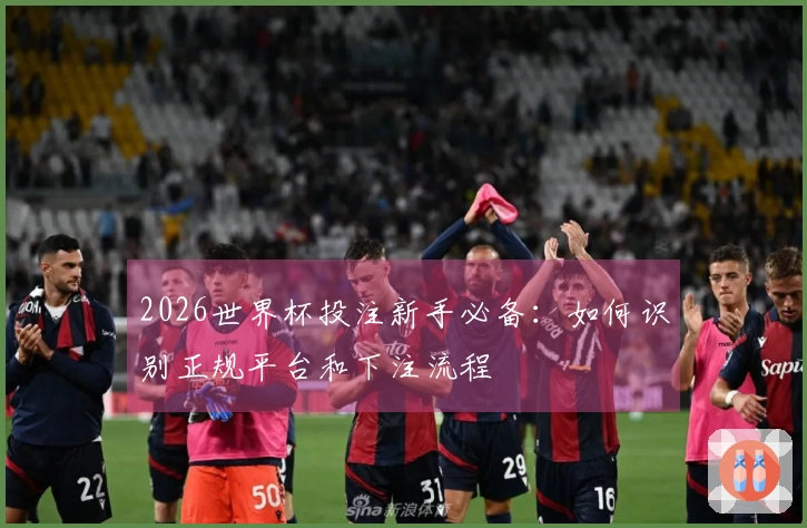 2026世界杯投注新手必备：如何识别正规平台和下注流程