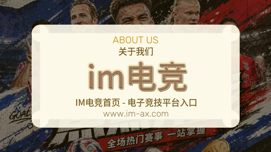 关于 im电竞
